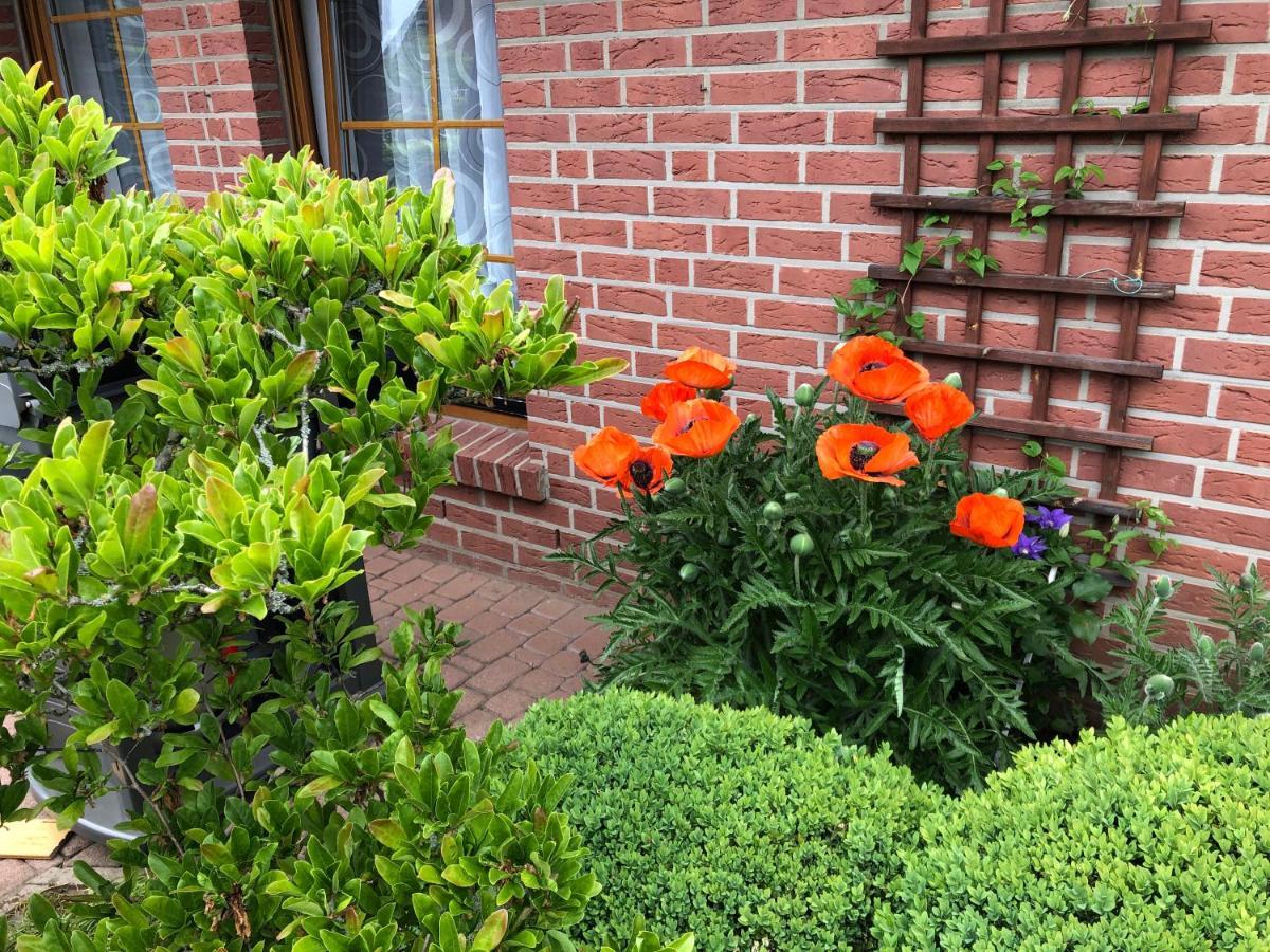 Ferienwohnung Kleistring Obernkirchen Dış mekan fotoğraf